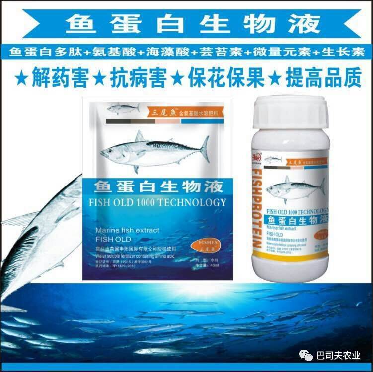 鱼蛋白肥价格